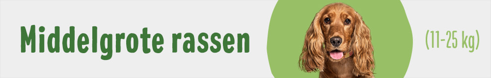 Middelgrote rassen