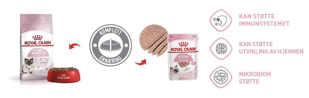 Royal Canin Kitten Mixed Feed
