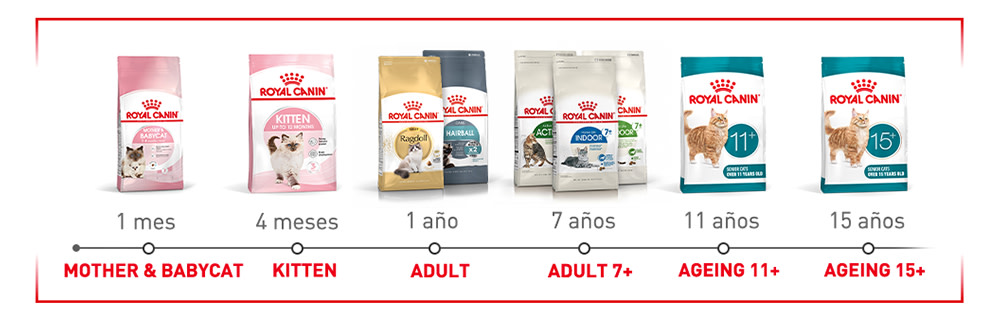 Royal Canin: la comida ideal para cada etapa