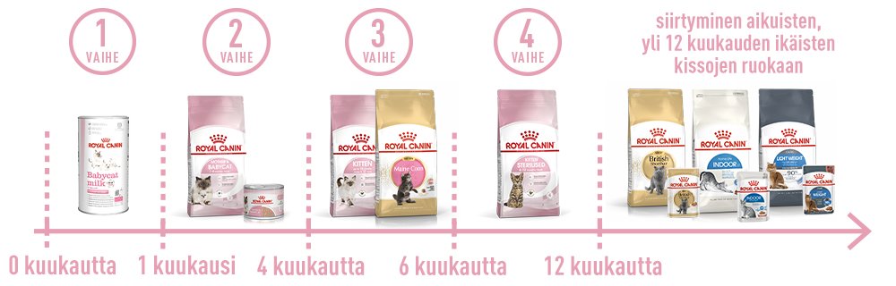 Perfect product for each stage