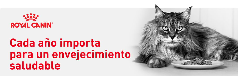 Cada año cuenta para un envejecimiento saludable
