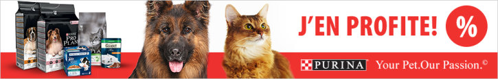 Purina pour chat