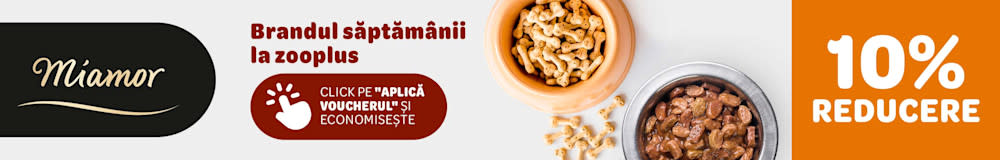 Miamor: Brandul săptămânii la zooplus. 10% reducere. Click pe "Aplică voucherul și economisește".