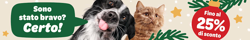 Sconti fino al 25% su snack e accessori per cane e gatto.