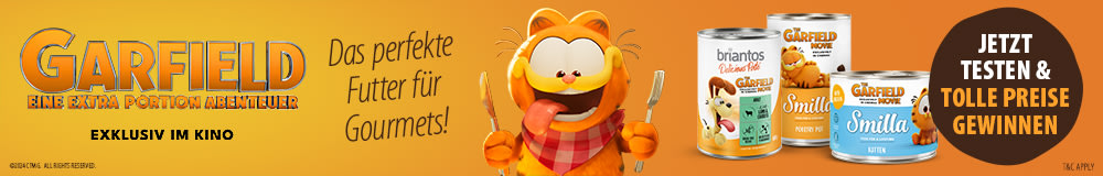 Garfield - das perfekte Futter für Gourmets