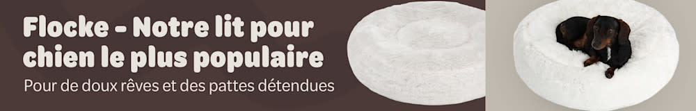 Flocke - notre panier pour chien préféré pour de doux rêves et des pattes détendues.