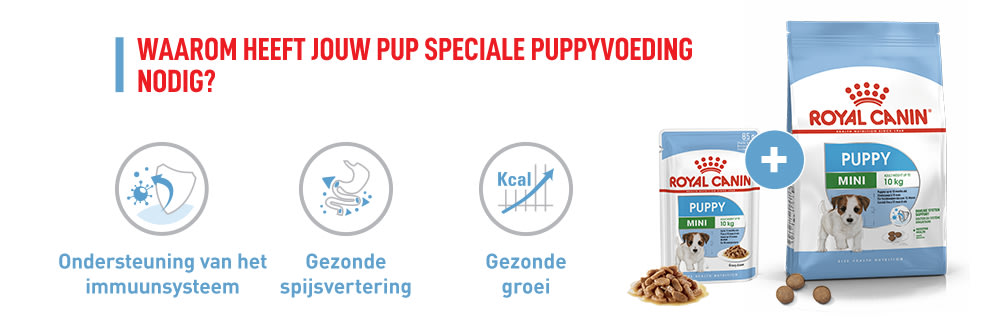Waarom Royal Canin puppybox