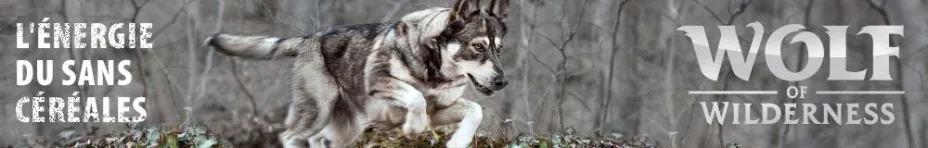 Aliments pour chien sans céréales Wolf of Wilderness