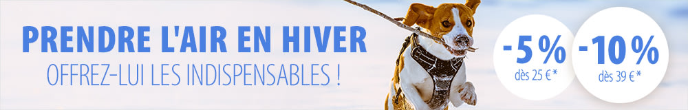 Profitez de -5 % ou -10 % sur les accessoires de promenade pour chien
