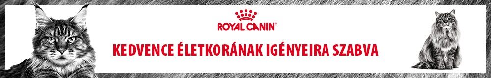 Kedvence életkorának igényeire szabva