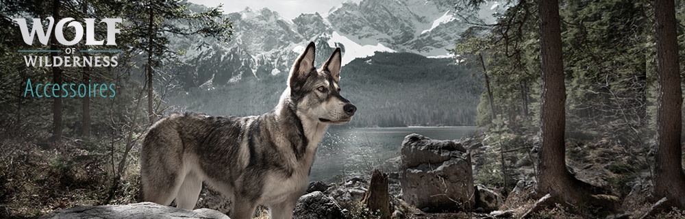 Wolf of Wilderness Accessoires