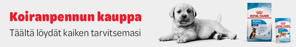 Pennunruoka ja tarvikkeet