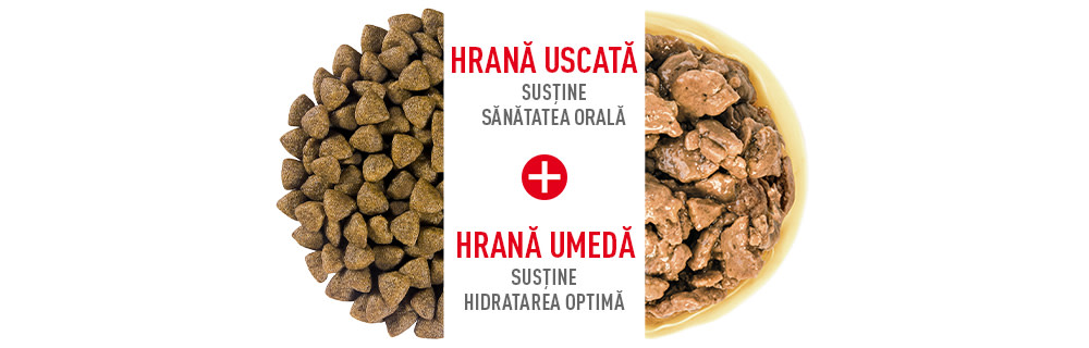 Royal Canin SHN hrană mixtă