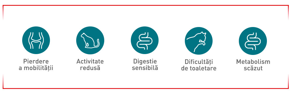 Primele semne de avertizare