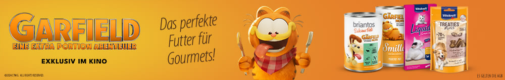 Garfield – Eine extra Portion Abenteuer ab 09.05.2024 in den Kinos