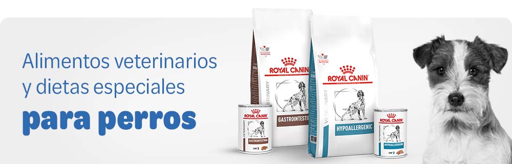 Link ES Dog Vet Section