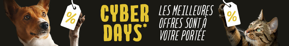 Découvrez vite nos offres Cyber Days