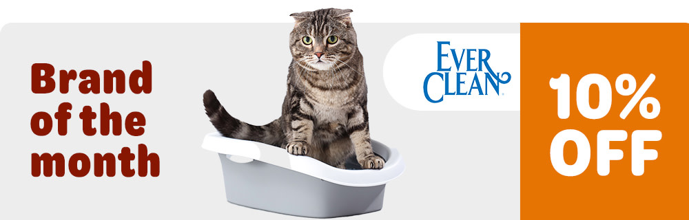 Brand of the Month: Get 10% off Ever Clean