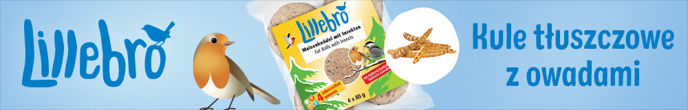 2023_02_Lillebro_FatBalls_Insects_PL