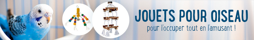 Jouet pour oiseau