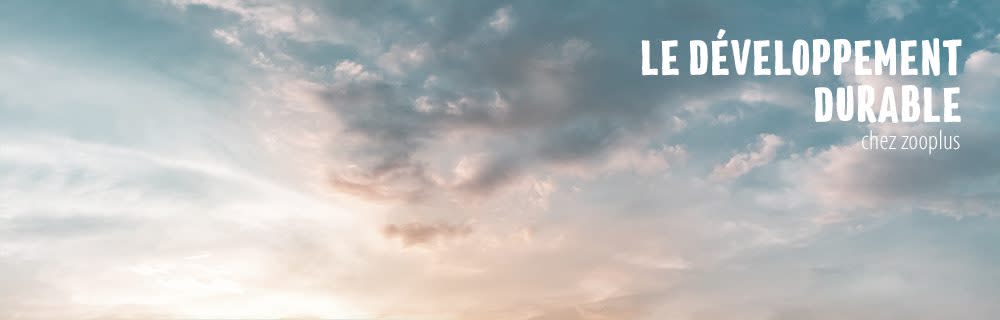 Développement durable bannière