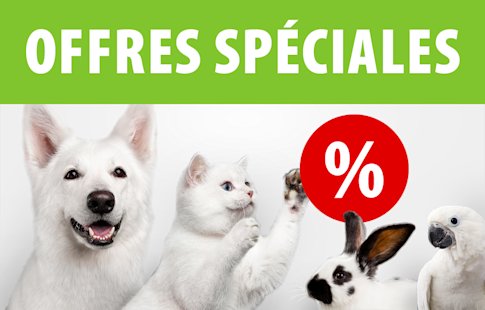 Découvrez les offres spéciales zooplus