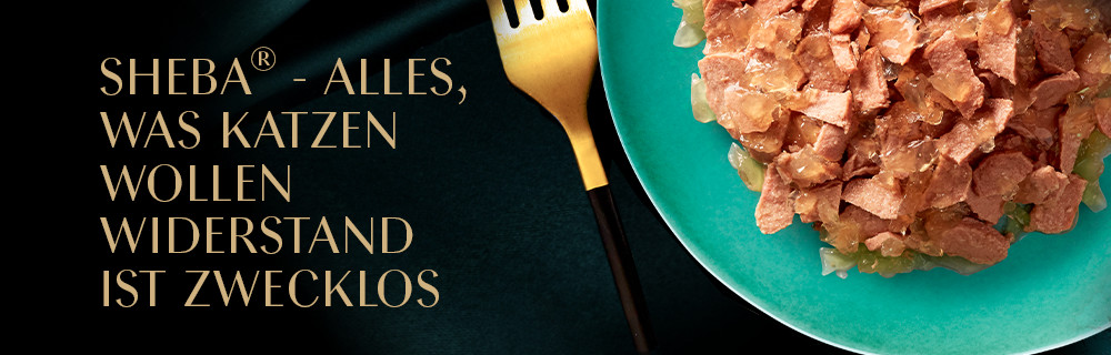 Sheba Philosophie Header Web