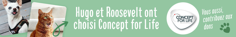 Vous aussi, contribuez aux dons avec Concept for Life