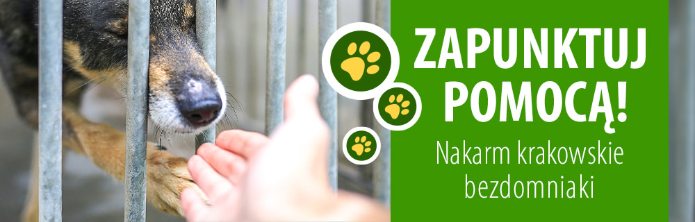 Zapunktuj pomocą! Nakarm krakowskie bezdomniaki
