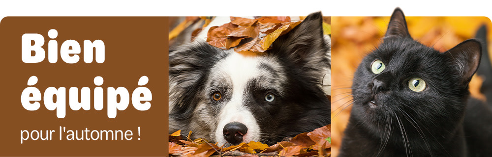 Remises sur les essentiels de l'automne !