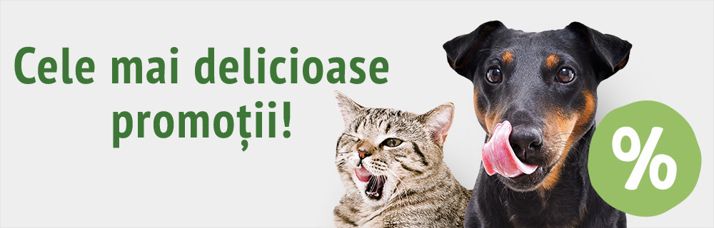 Prinde ofertele lunii!