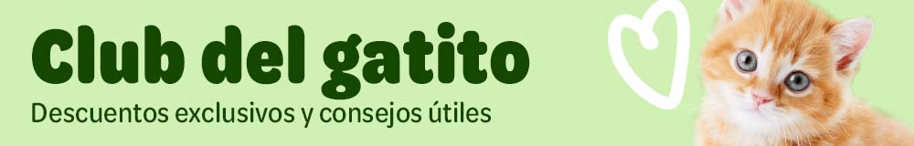 Club del gatito
