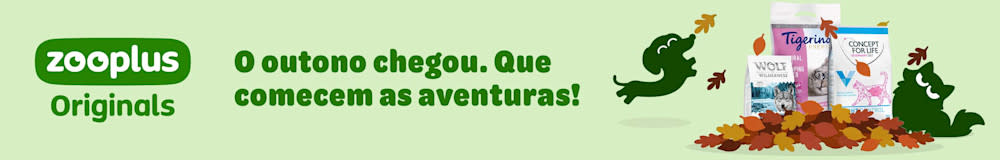 O outono chegou! Conheça as marcas zooplus Originals