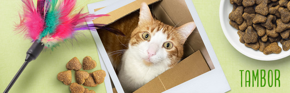 Tambor, notre pro du déballage de colis