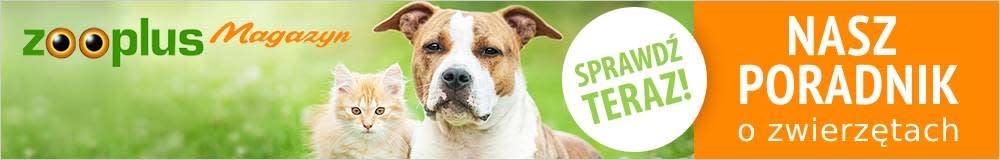 2023_07_IntroBanner_1000x160_PL