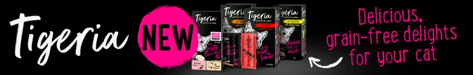 Discover Tigeria!