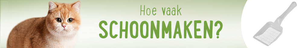Kattenbakvulling - Hoe vaak schoonmaken