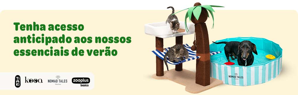 Promoções de verão: até 15% de desconto em acessórios para cães e gatos