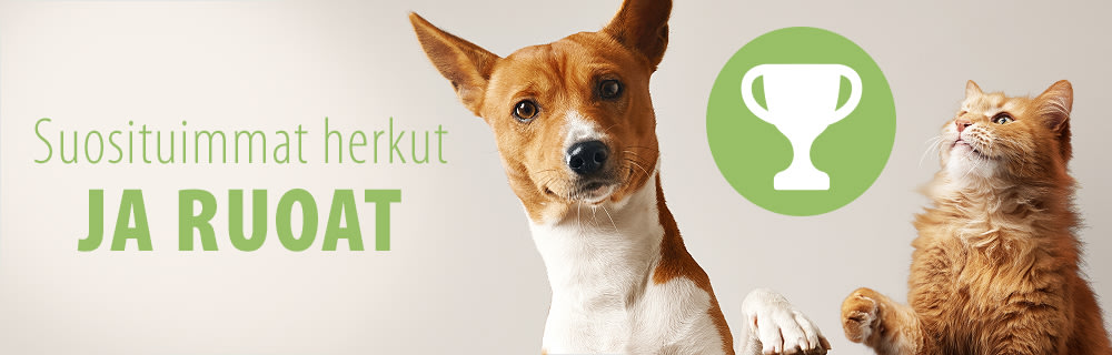 Suosituimmat herkut ja ruoat