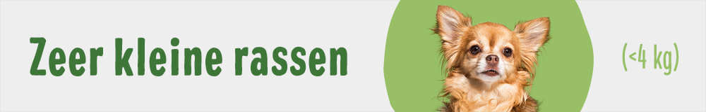Zeer kleine rassen