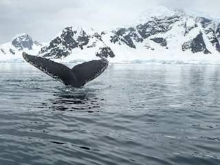 Brim Explorer photo by Derek Oyen