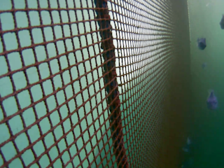 Close look at the net in fish pen