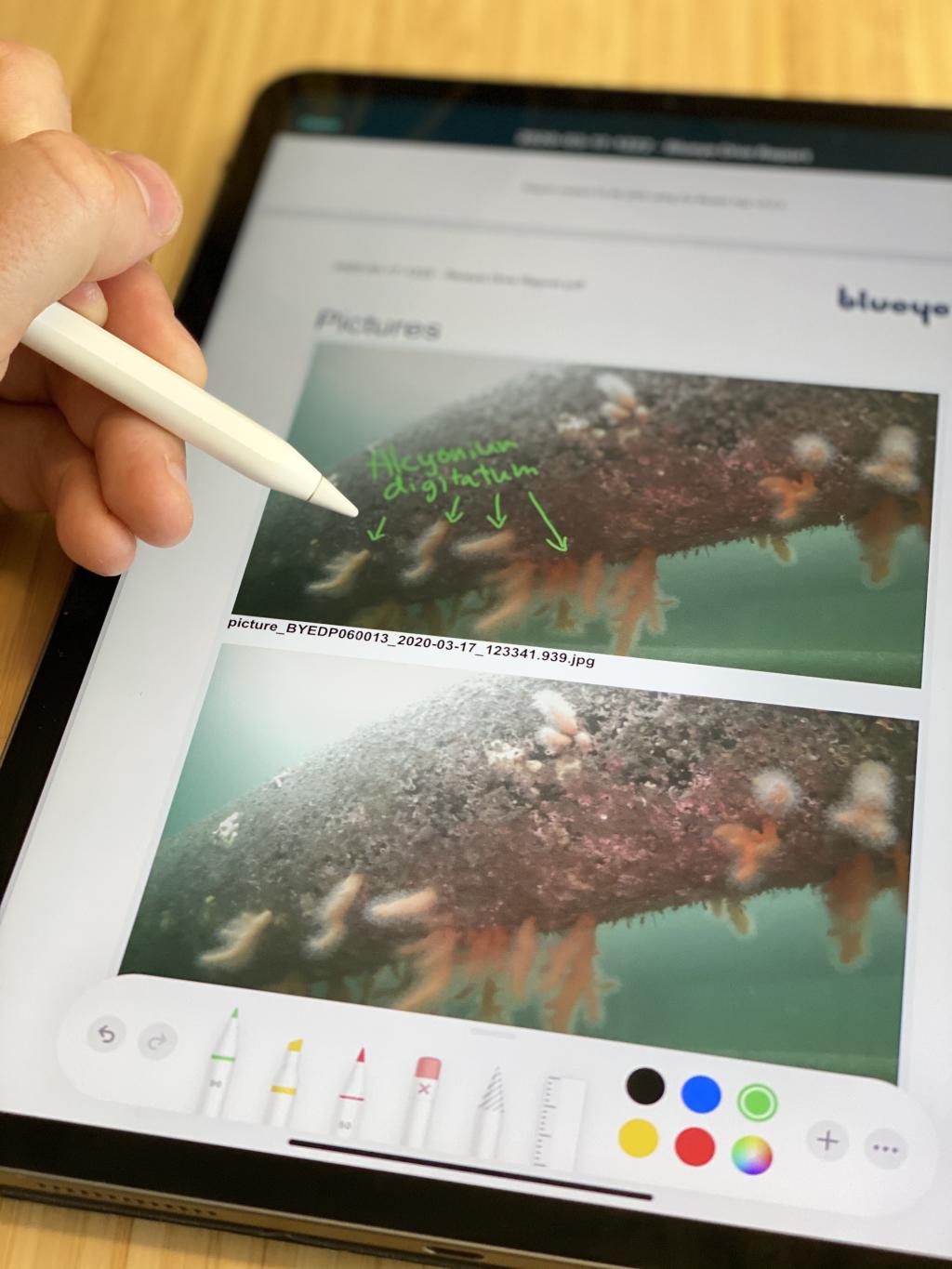 Du kan bruke en digital penn på iPad eller Android nettbrett til å tegne eller notere direkte i rapporten.
