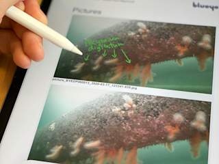 Annotating an inspection report using the Apple Pencil