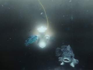 Inspecting cleaner fish