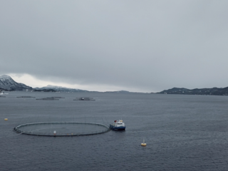 Aquaculture site