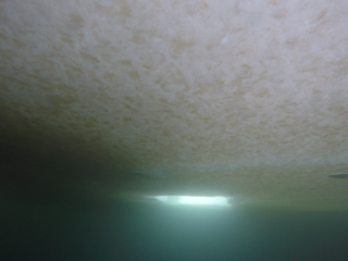 Returning to the hole in the ice