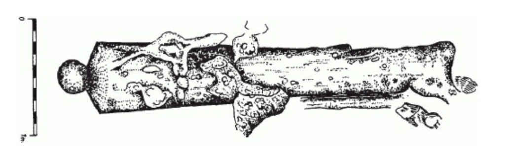 Drawing of one of the cannons from Jedinorog before conservation
