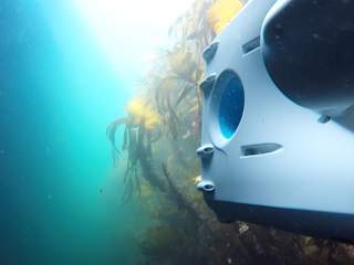 PioneerOne exploring the kelp forrest at Hitra Islands