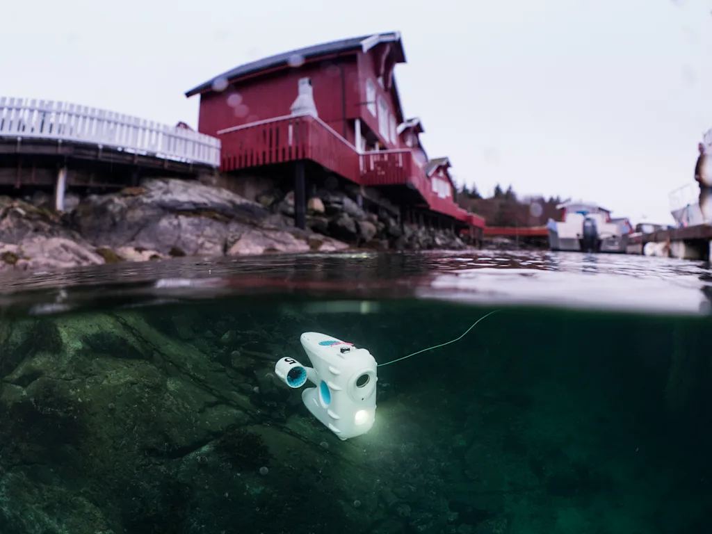 Exploring from the marina in Kvenvær